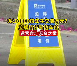 佛山一地3000车主欠路边停车费万元？