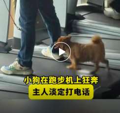 佛山一健身房里惊现最拼“会员”