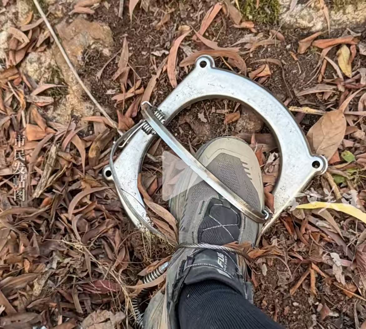 广州白云山一徒步者踩中捕兽夹，脚部血流不畅