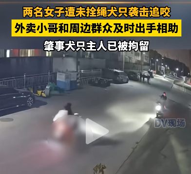 视频曝光！广东女生被恶狗当街撕咬，已拘留狗主人！