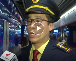 最高罚200元！广州禁止携带活禽宠物乘坐地铁