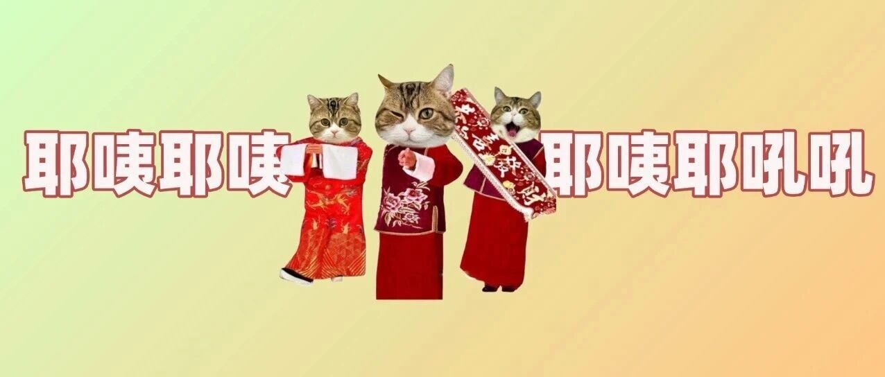 连续9天，高速免费！