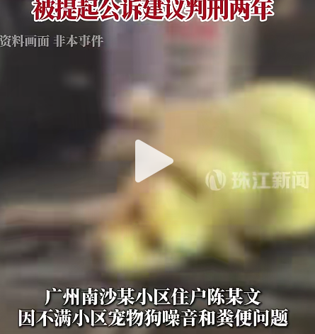 广州南沙一男子对宠物狗不满，竟投毒致3只宠物狗中毒死亡