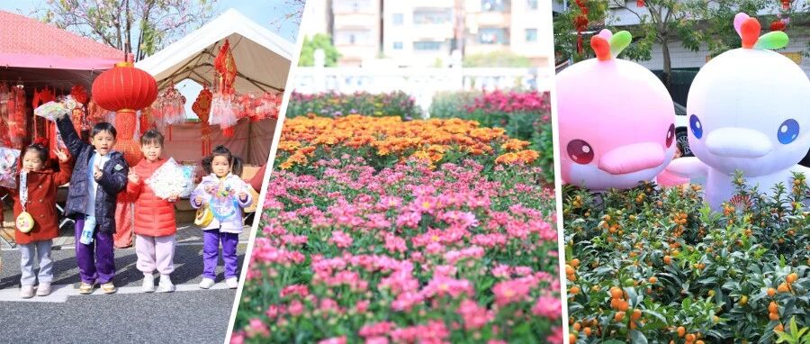 狮山五大迎春花市开市迎客，年味拉满→